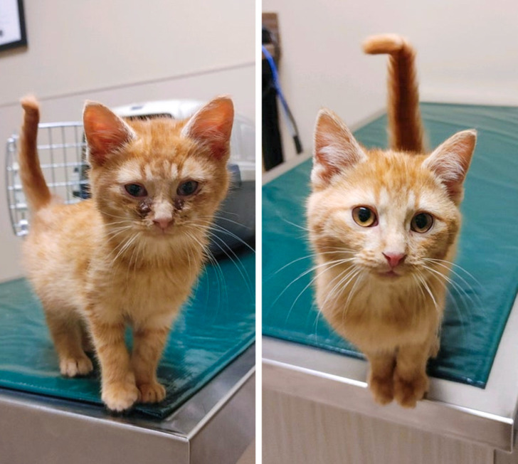 1dcdc15f08b803b4c672ef8aab 1dcdc15f08b803b4c672ef8aab