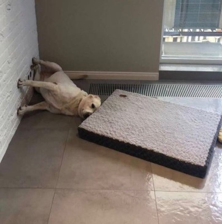 1dcf955895a8323e4dc397af84