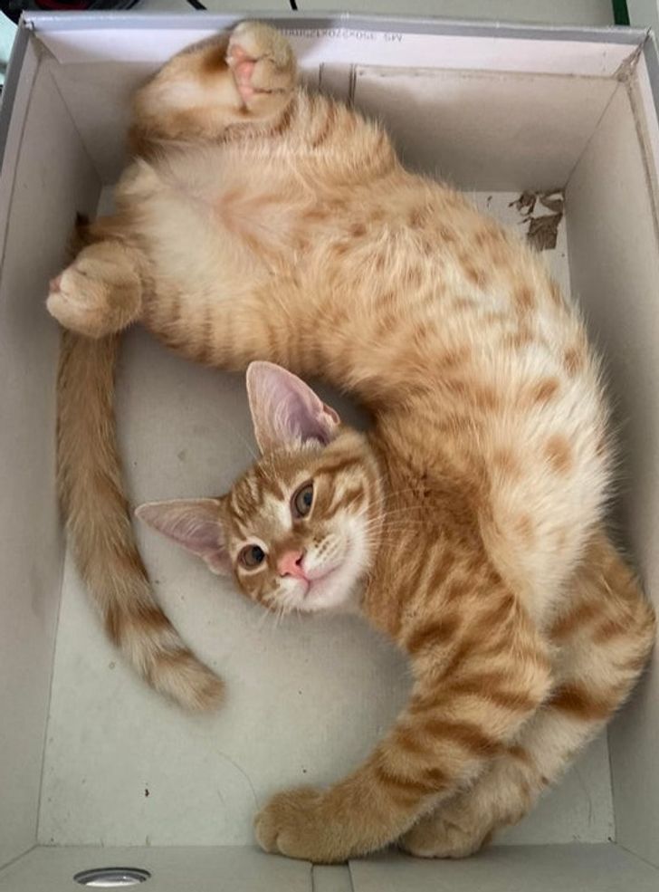 1dd13f5537821534dbf0bd0a9c