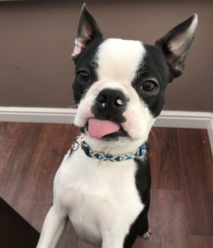 1dd224530d927d64e12f341fab