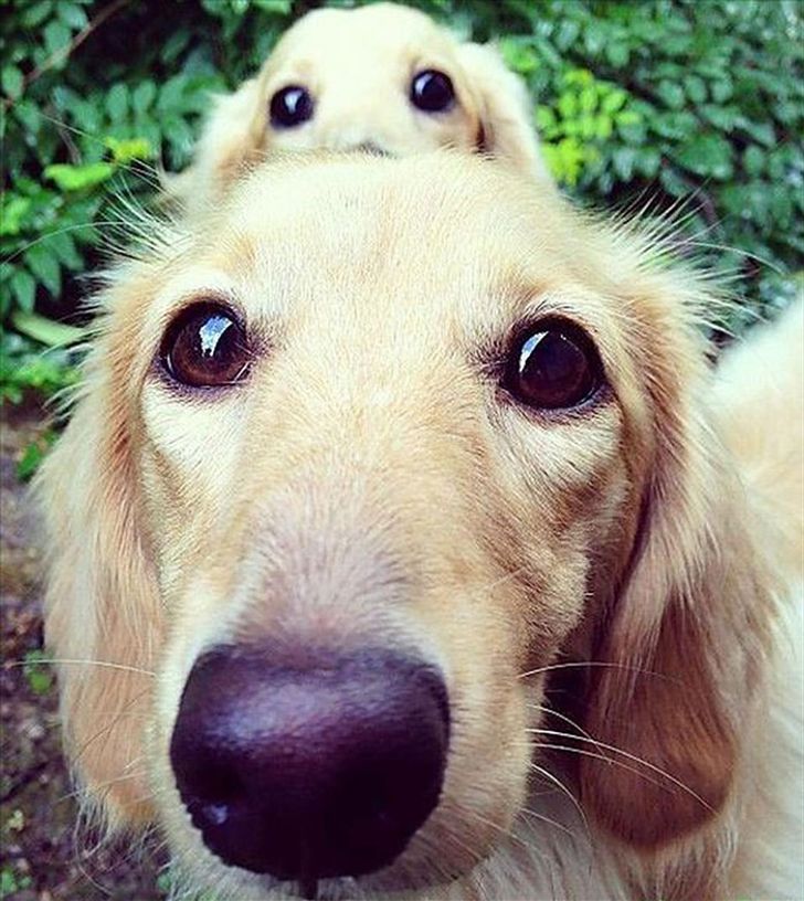 1dd323584f9ec0f903f49c1946