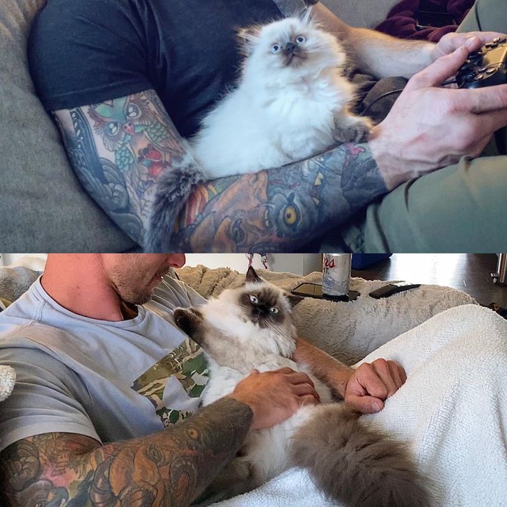 1dd78e52bdb8d95402d30bb9f0