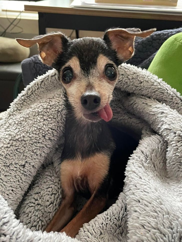 1dda2d5e06b699c5e78cd1940c 1dda2d5e06b699c5e78cd1940c