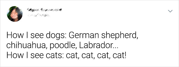 1dda815b4f86048e008719d9ec