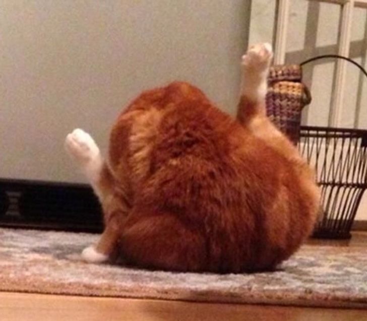 1ddf2855c09284f8321eda4824