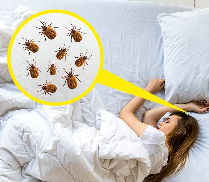 1de8805c3eb85152d3d38ea48e