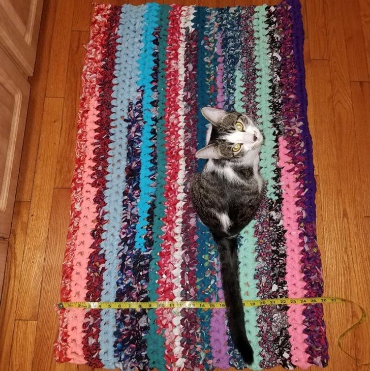 1de8d955ee8fbdabc16bd03cf6