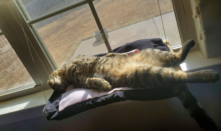 1ded8557c5bbed33d33b930317