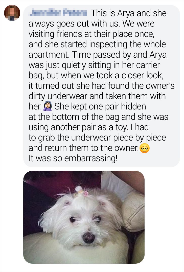 1dee035dd29dcaa2af875c5945