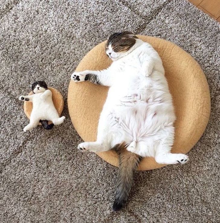 1defc0587f82f56c1e5495be66