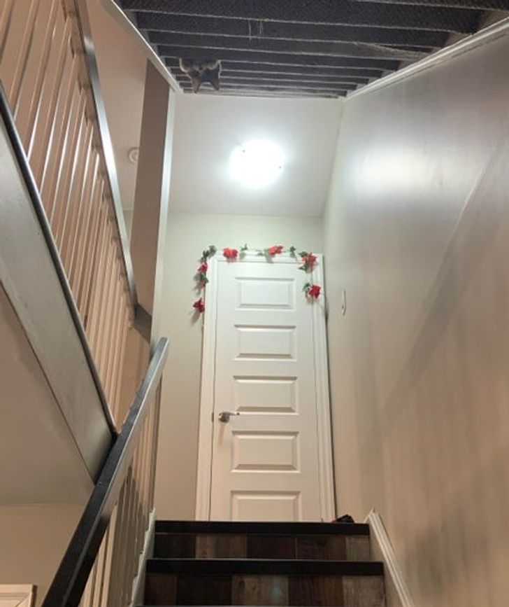 1e02f35fd58044144efeb70d95