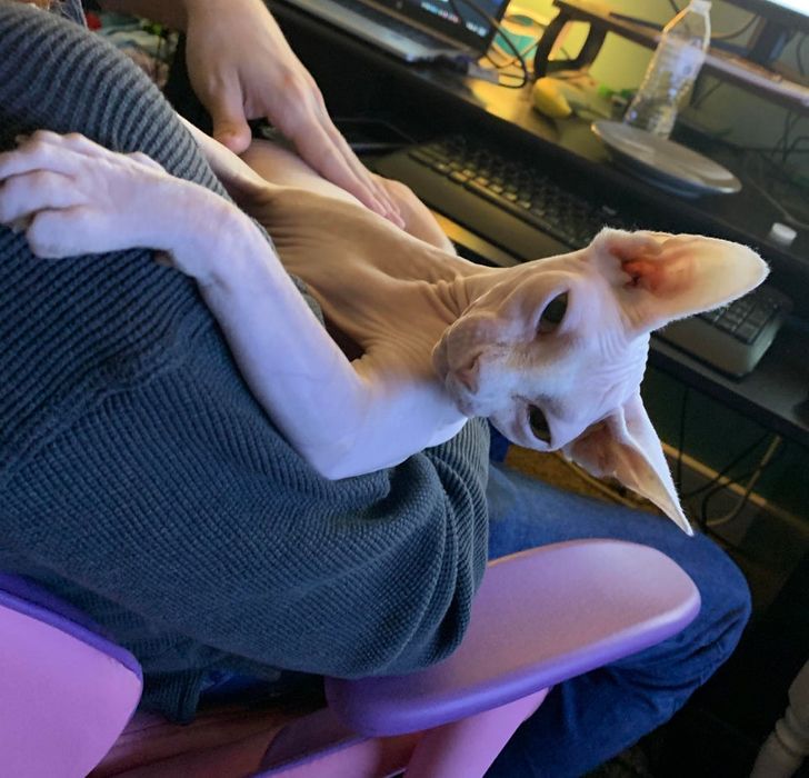 1e1d1256ff861e7b4bd5cc8998