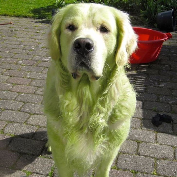 1e1f7256649556fdabdabc7d4d