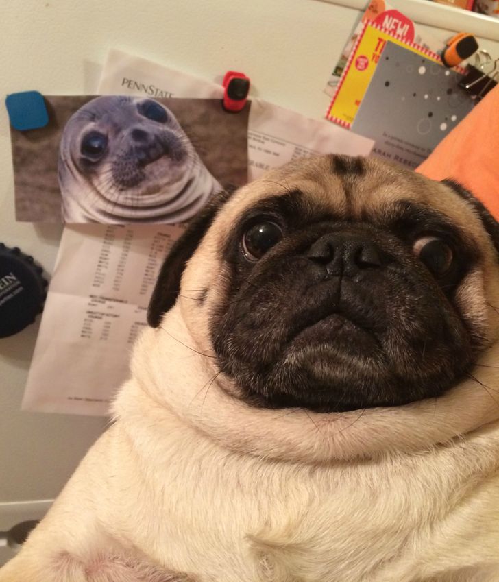 1e1fef5fc09e2a64bc0499631d