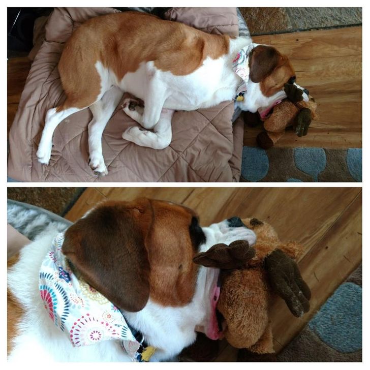 1e227e5459a687c66222fd8d77