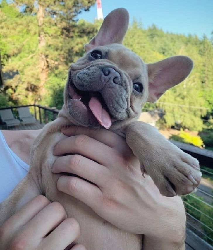 1e24e95aeba2e2255e5af5dd29