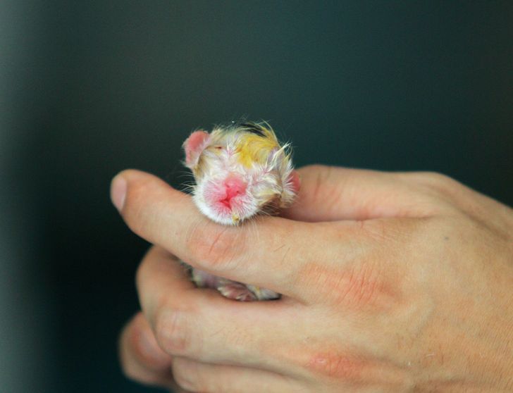 1e285156369d93176e8746fcb0