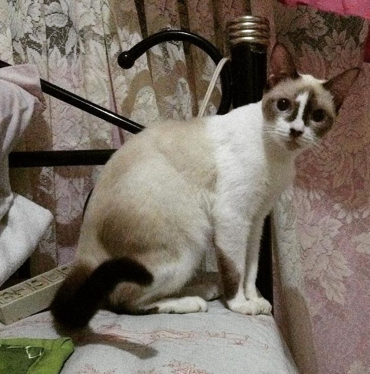 1e2b5b54d1a707de7d1d7e4303