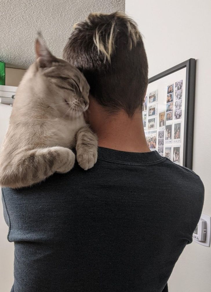 1e2d1c5bc6ba465b76a09b13d4