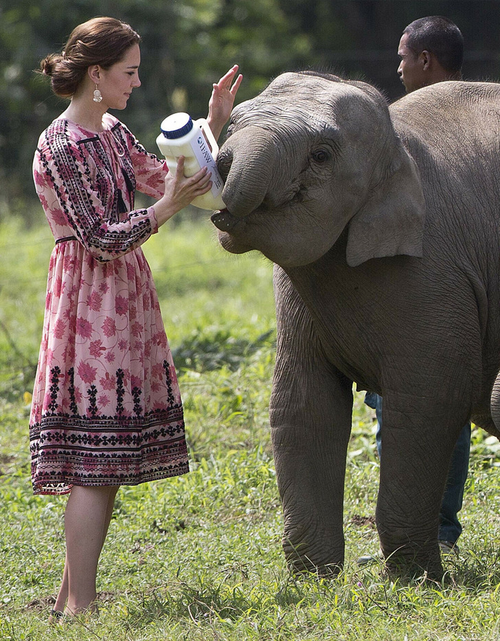 1e35ba5326b52d9fd37093db81