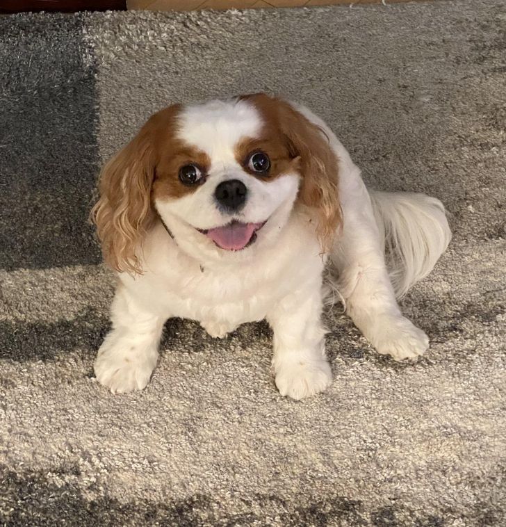 1e38845444a3ac59d8c05f3dfe