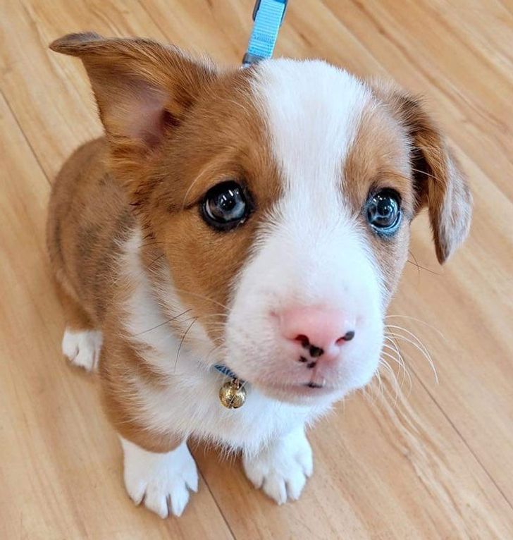 1e3a495ad585502df57cf8fe4e