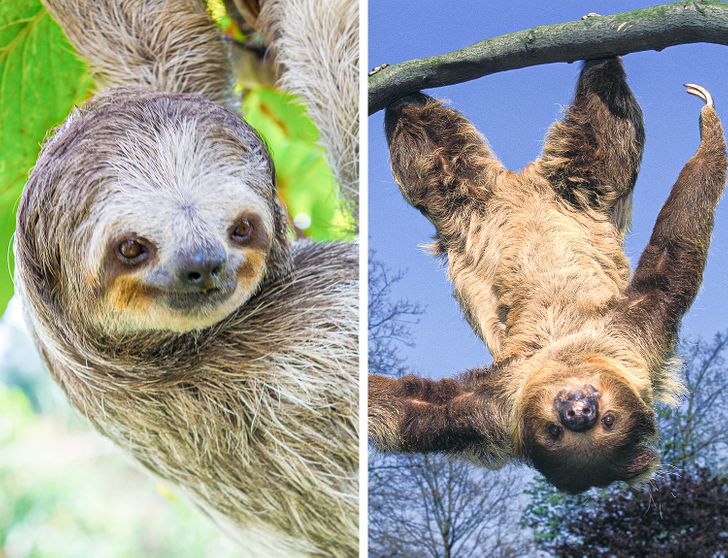 1e3b605eaa963636660e769c73