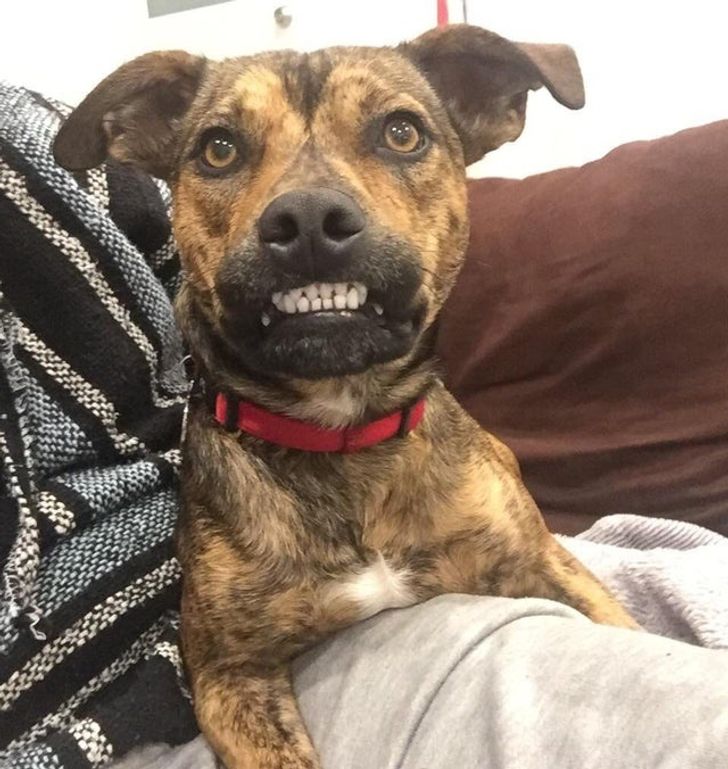 1e419c5134be925f6462430a04