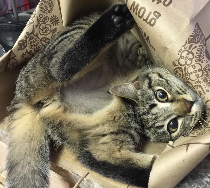 1e43525688b5765ef71f236ff2