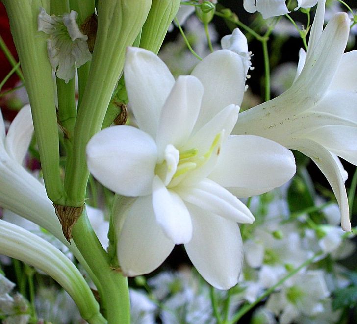 1e47a953fcb6b7b4e30f3d6669 1e47a953fcb6b7b4e30f3d6669