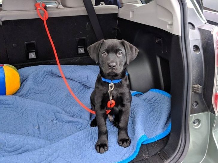 1e49b15ecd8388722f770a8875