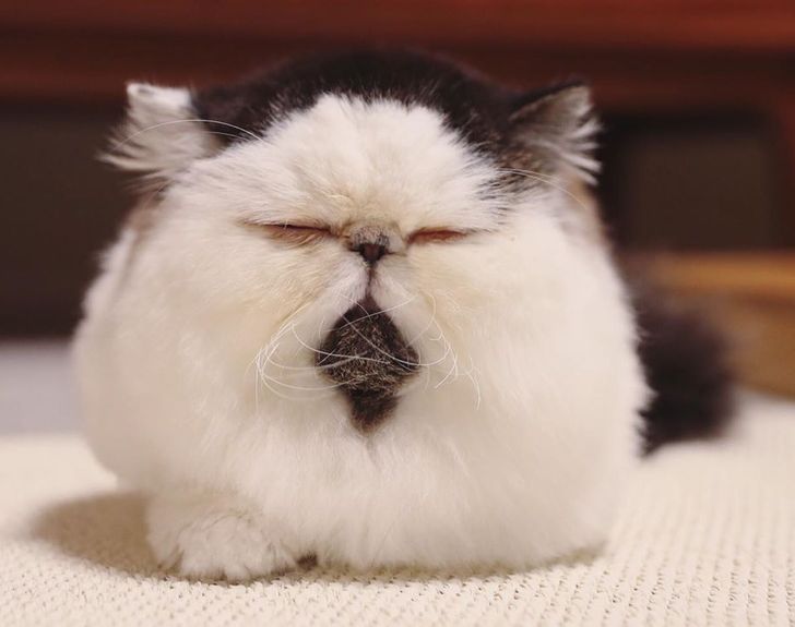 1e49c65091a915d832778b9feb