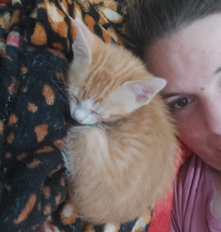 1e51cc50d88d00cd9ab5fe5103