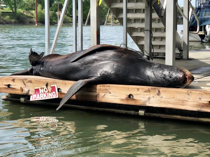 1e554458dca3b4cce28fe62d5d