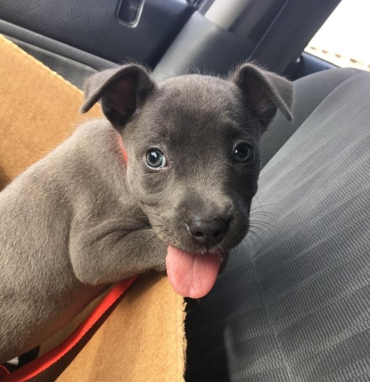 1e568a5a71a8c386b6d22b717e 1e568a5a71a8c386b6d22b717e