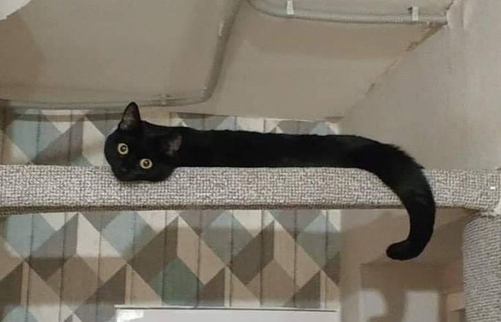 1e57025da4927adaca2e8c1f79