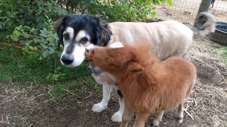 1e577d5bcd8283000efbf88d75