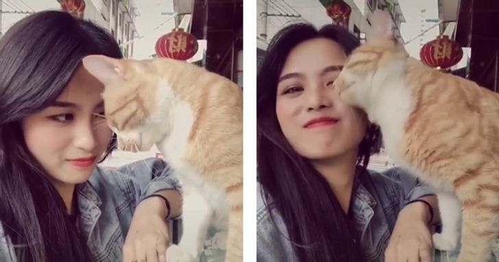 1e624259f39b223ac31d93e035