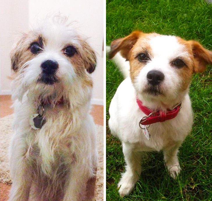 1e62815a7d9b8047dbab39f811