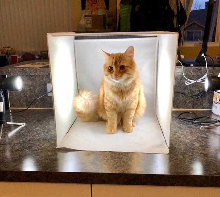 1e67f551569a7e57c1cd838051