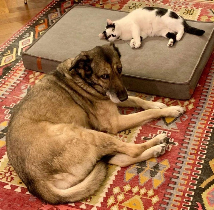 1e6c155aaa91c6de67f9e34256 1e6c155aaa91c6de67f9e34256