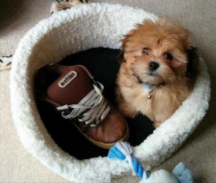 1e6e775677aab53cbec6af4368