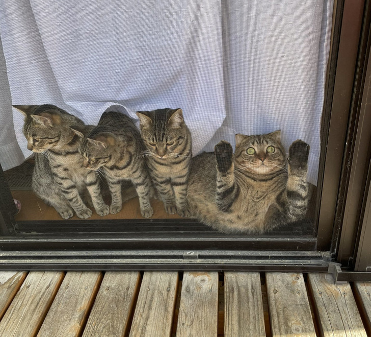 1e73e5546ea061410a212ea046