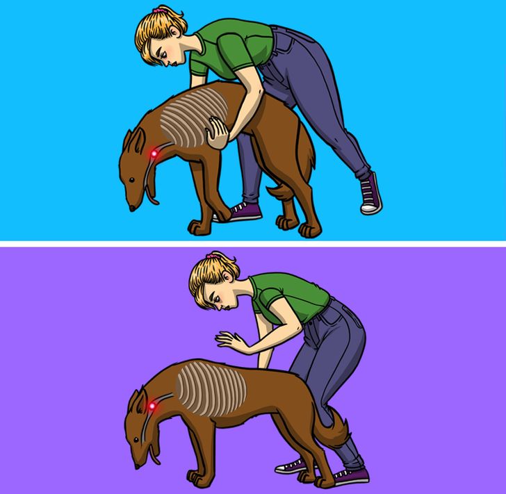 1e759252efbc73efa50bc2f224