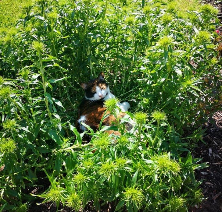 1e7a7358c48b35e83c997dd165 1e7a7358c48b35e83c997dd165