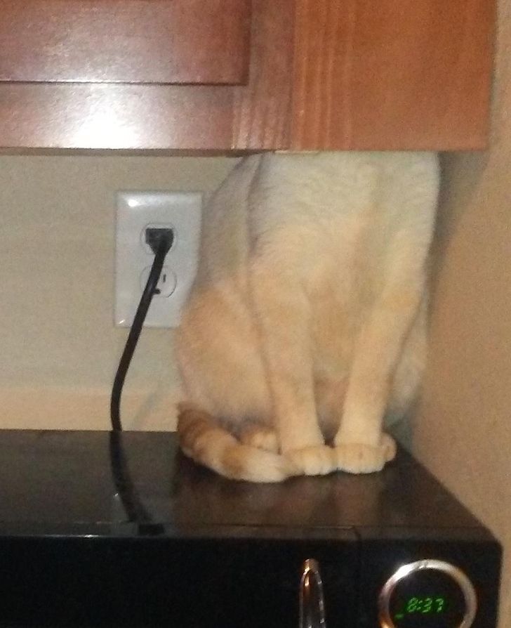 1e7aac552294e6c59a39f2ab6c