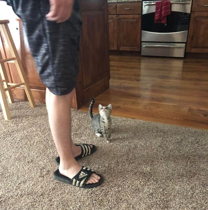 1e7e205627a95267f4c8e67887