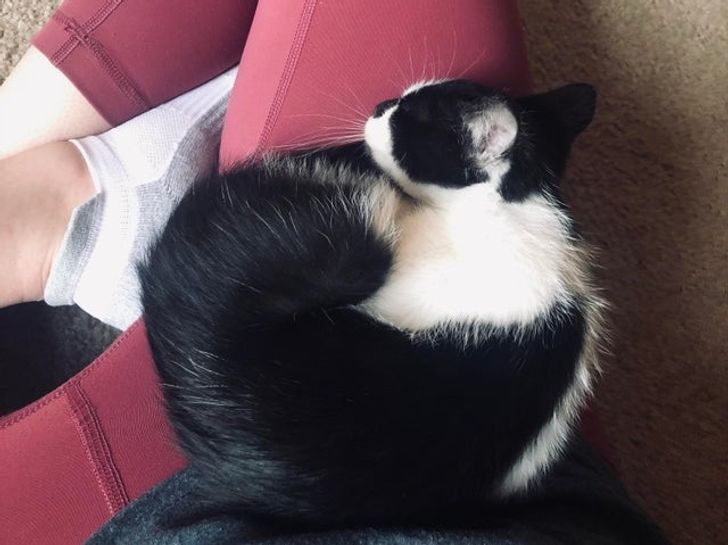 1e801f5d1ba4635a0e98526281