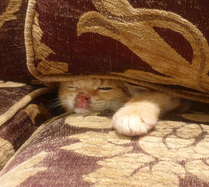 1e83665c5cb19be835d99d2b49