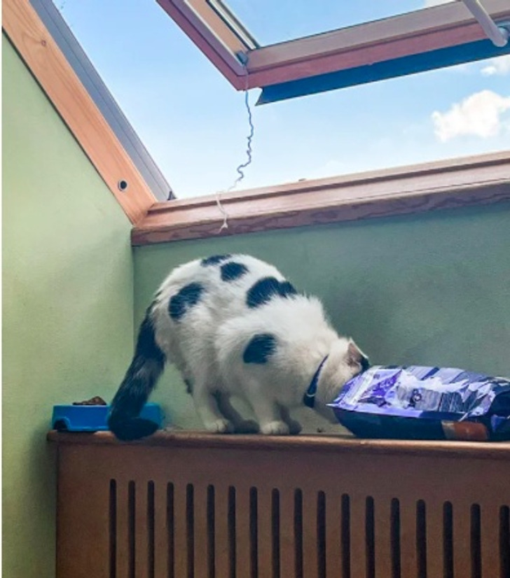 1e864a51b7a03271cff5e32839 1e864a51b7a03271cff5e32839